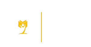 BSSS Institute of Advanced Studies